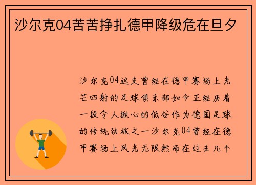 沙尔克04苦苦挣扎德甲降级危在旦夕